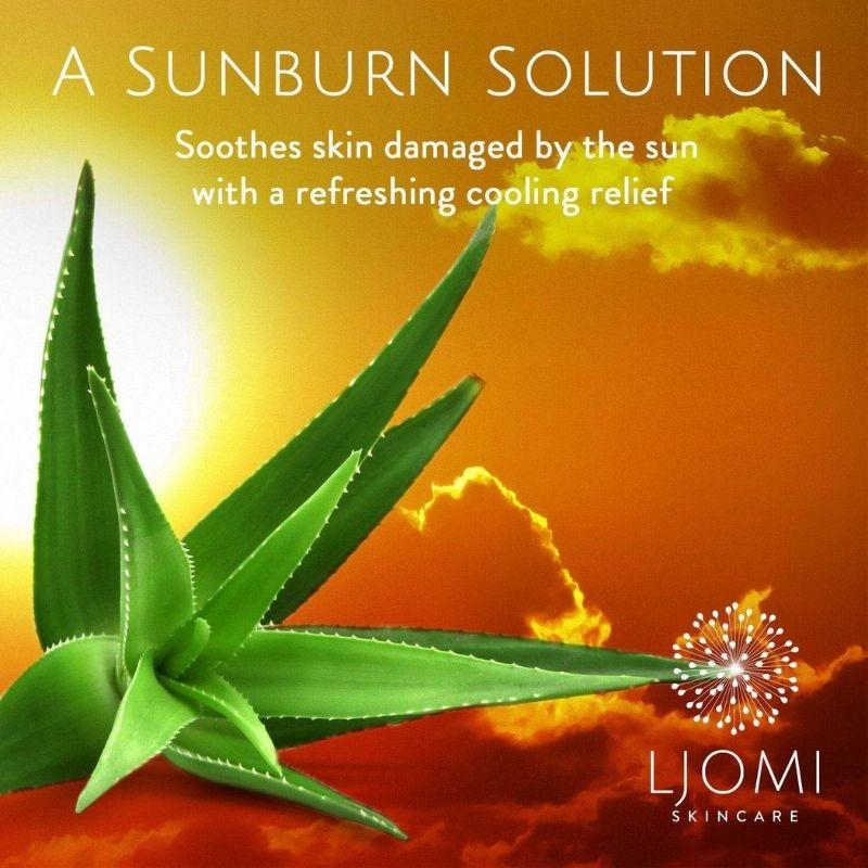 Summer Bundle